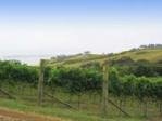 Waiheke Island, Hauraki Gulf Islands